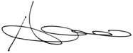 hpsig.png